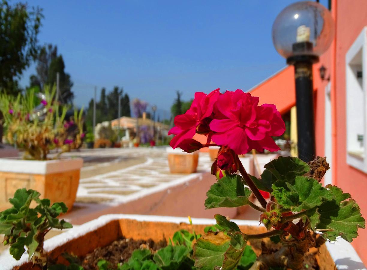 Joanna Apartments كونتوكالي المظهر الخارجي الصورة